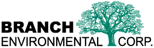 Branch Logo
