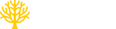 MXDProcess-Logos_Branch-Horizontal-Color-WhiteText