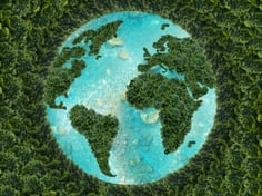 iStock-1312284948